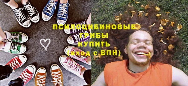 прущие крисы Абаза