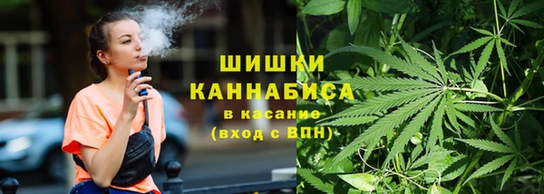 шишки Алексеевка