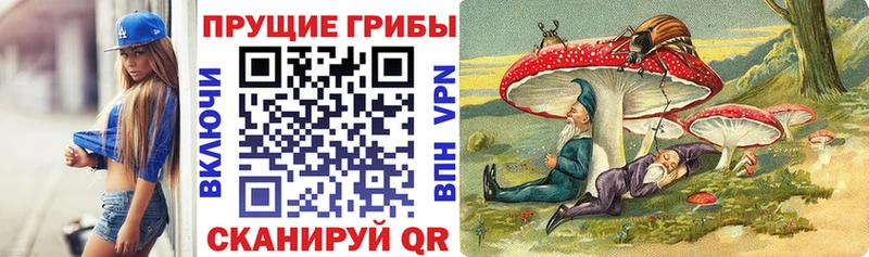 Псилоцибиновые грибы GOLDEN TEACHER  Лакинск 